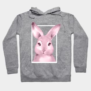 Rabbit T-Shirt Hoodie